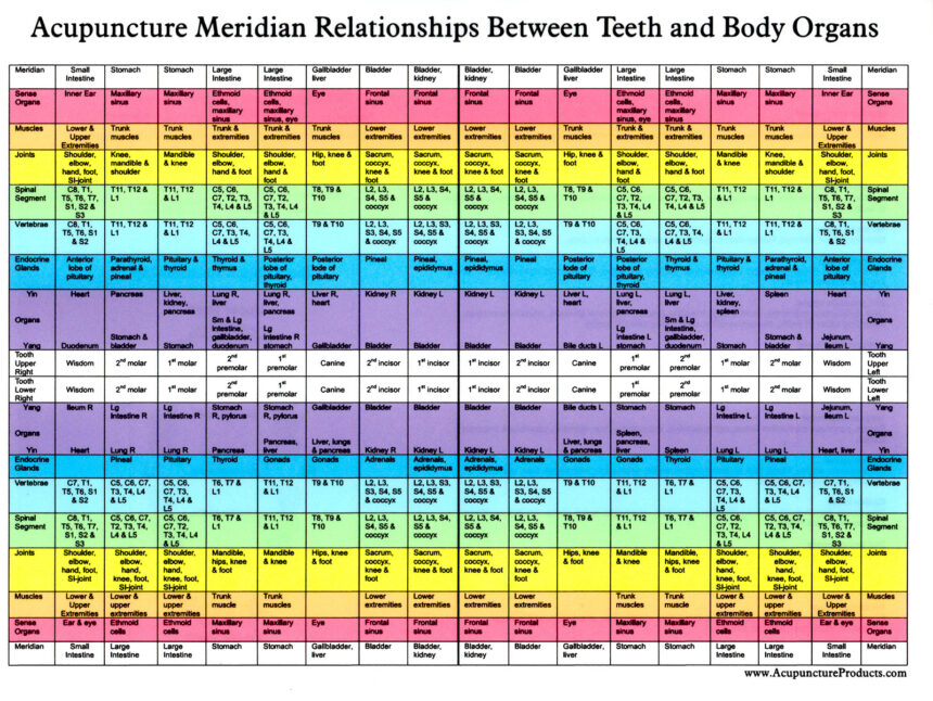 Meridian Chart – Holistic Dental Wellness